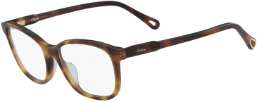 Chloé CE2728 glasses in Havana