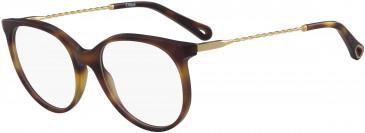 Chloé CE2730 glasses in Havana