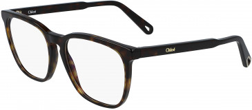 Chloé CE2740 glasses in Tortoise