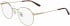 Calvin Klein CK19119 glasses in Gold