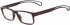 Calvin Klein Jeans CKJ19509 glasses in Crystal Dark Brown