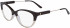 Calvin Klein CK19706 glasses in Brown/Crystal Beige Gradient