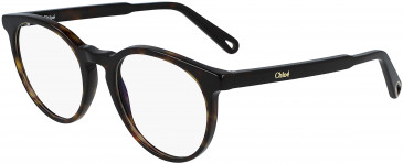 Chloé CE2741 glasses in Tortoise