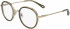 Chloé CE2150 glasses in Khaki