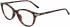 Calvin Klein CK19531 glasses in Soft Tortoise