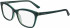 Calvin Klein CK19529 glasses in Crystal Emerald/Lime