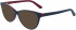Calvin Klein CK19516 sunglasses in Teal/Plum