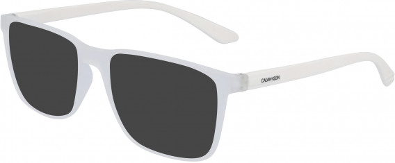 Calvin Klein CK19573 sunglasses in Matte Crystal