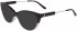 Calvin Klein CK19706 sunglasses in Brown/Crystal Beige Gradient