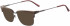 Calvin Klein CK18124 sunglasses in Chocolate Horn