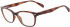 Marchon NYC M-5801 glasses in Tortoise