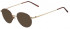 Flexon FLEXON 623-48 sunglasses in Tortoise/Bronze