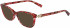 Longchamp LO2633 sunglasses in Red Tortoise