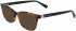Longchamp LO2647-51 sunglasses in Havana/Blue