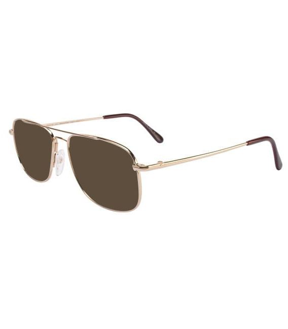 Flexon AUTOFLEX 44-57 sunglasses in Gep