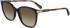 Longchamp LO612S sunglasses in Black/Havana