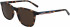 Lacoste L915S sunglasses in Havana