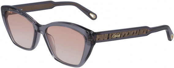 Chloé CE760S sunglasses in Grey