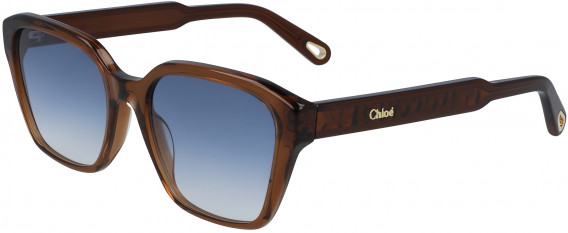 Chloé CE759S sunglasses in Brown