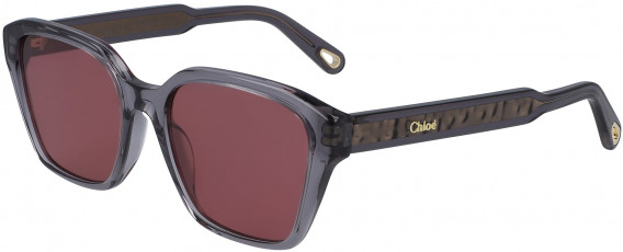 Chloé CE759S sunglasses in Grey