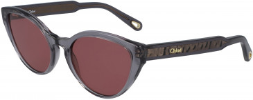 Chloé CE757S sunglasses in Grey