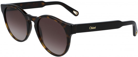 Chloé CE753S sunglasses in Tortoise
