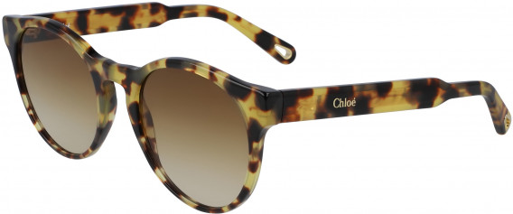Chloé CE753S sunglasses in Havana