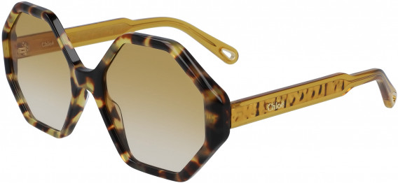 Chloé CE750S sunglasses in Havana/Honey