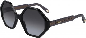 Chloé CE750S sunglasses in Black
