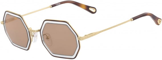 Chloé CE146S sunglasses in Havana Crystal/Brown Mirror