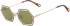 Chloé CE146S sunglasses in Havana Sand/Khaki