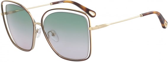 Chloé CE133S sunglasses in Havana/Green Rose