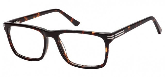 SFE Large Plastic Ready-Made Reading Glasses