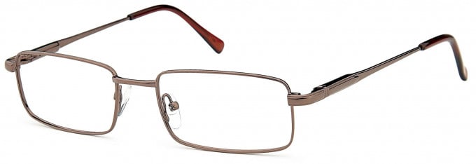 SFE Metal Ready-Made Reading Glasses