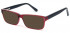 SFE-10575 sunglasses in Burgundy/Black