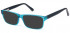 SFE-10575 sunglasses in Turquoise/Black