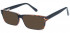 SFE-10575 sunglasses in Demi/Black