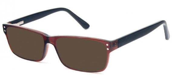 SFE-10575 sunglasses in Brown/Black