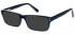 SFE-10575 sunglasses in Black