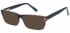 SFE-10575 sunglasses in Demi/Black