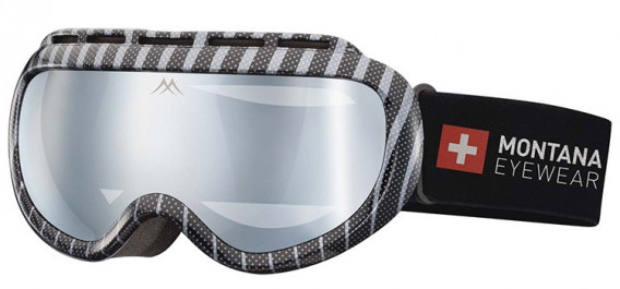 SFE-10636 ski goggles in Shiny Silver/Black