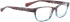 BELLINGER PATROL glasses in Purple Turquoise