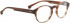 ENTOURAGE OF 7 CARLOS glasses in Brown/Clear Brown