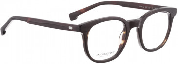 Entourage of 7 Hank-L glasses in Dark Tortoise