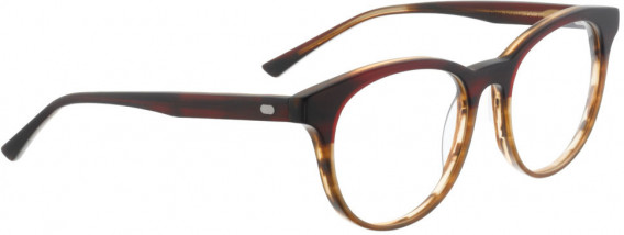 ENTOURAGE OF 7 GREIR glasses in Brown/Clear Brown