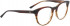 ENTOURAGE OF 7 GREIR glasses in Brown/Clear Brown