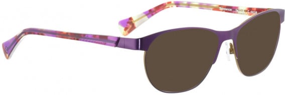 BELLINGER SUNDANCER sunglasses in Dark Purple/Sand