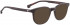 ENTOURAGE OF 7 HANK-L sunglasses in Dark Tortoise