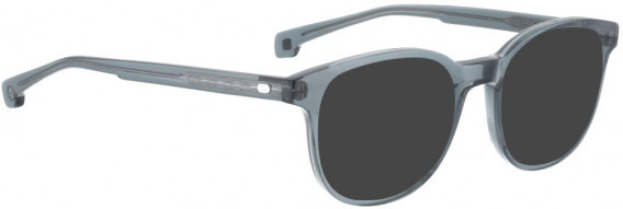 ENTOURAGE OF 7 HANK-L sunglasses in Grey Crystal