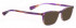 BELLINGER SUNTOP sunglasses in Purple Matt